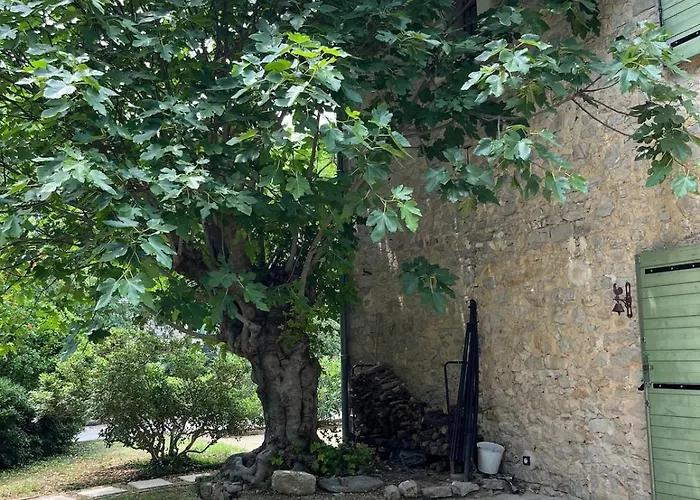 Bastide Terrieu - Domaine Avec Piscine Et Terrain De Boules, Climatisation Villa Saint-Mathieu-de-Tréviers